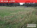 Działka  na sprzedaż - 
       Czarne Błoto 
       	  - 3001.00  m2